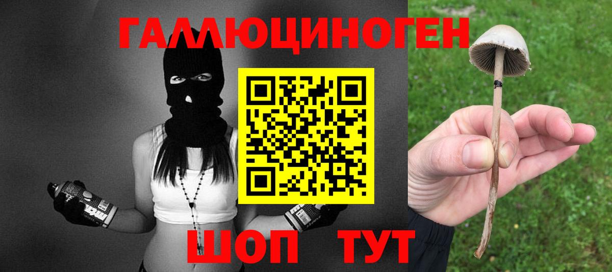 Псилоцибиновые грибы Psilocybine cubensis Тайшет